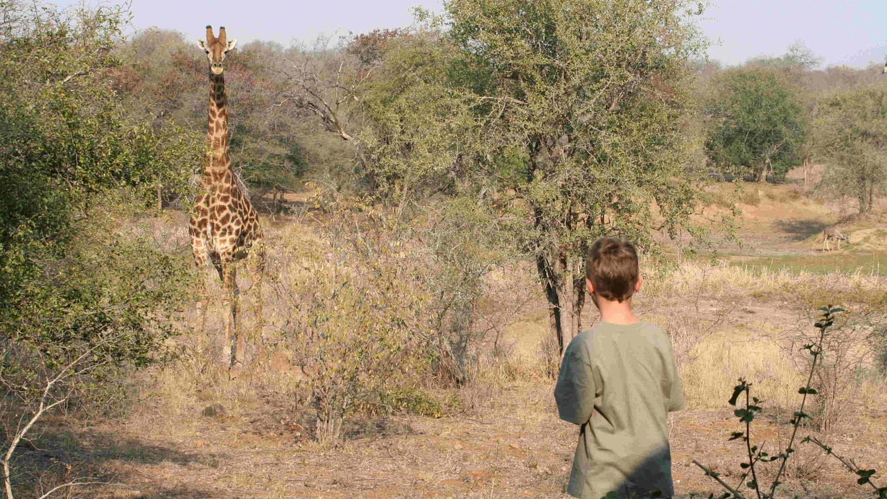 Photo of Outdoor in Hoedspruit