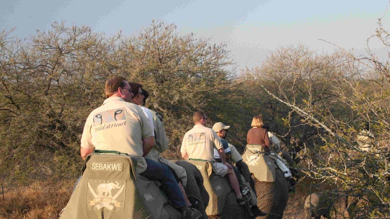 Photo of Others in Hoedspruit