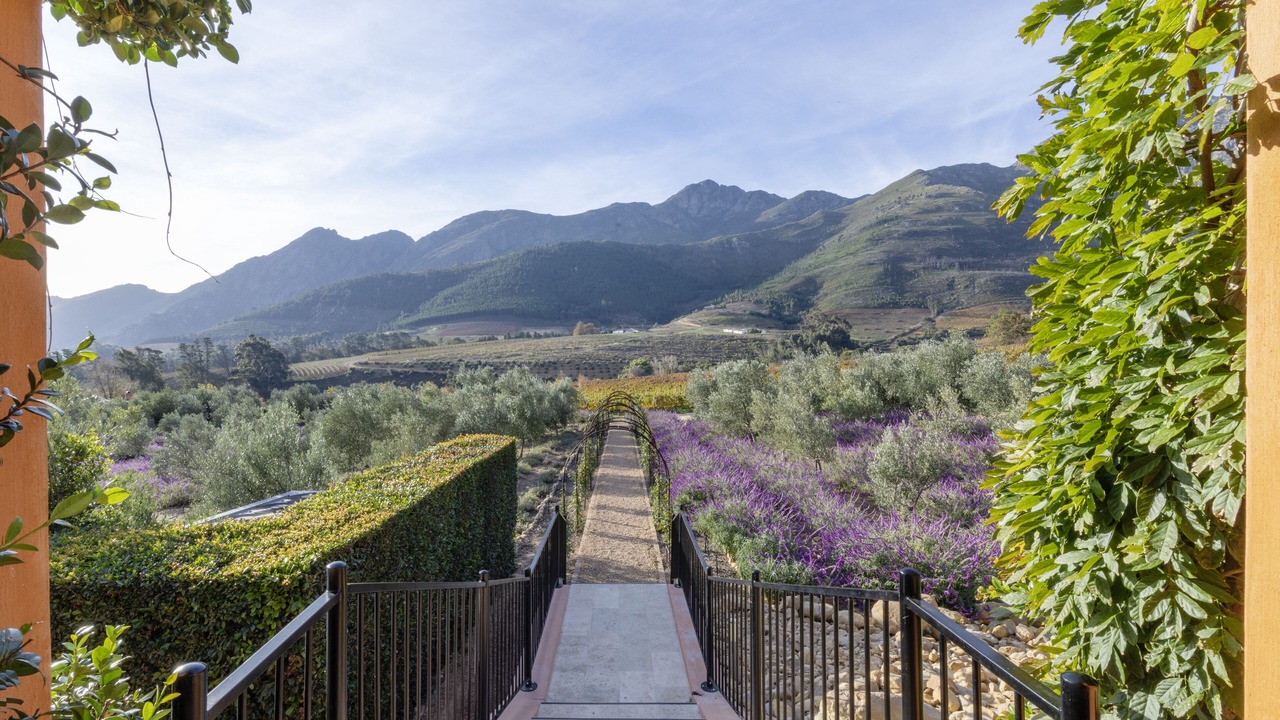 Photo of Outdoor in Franschhoek