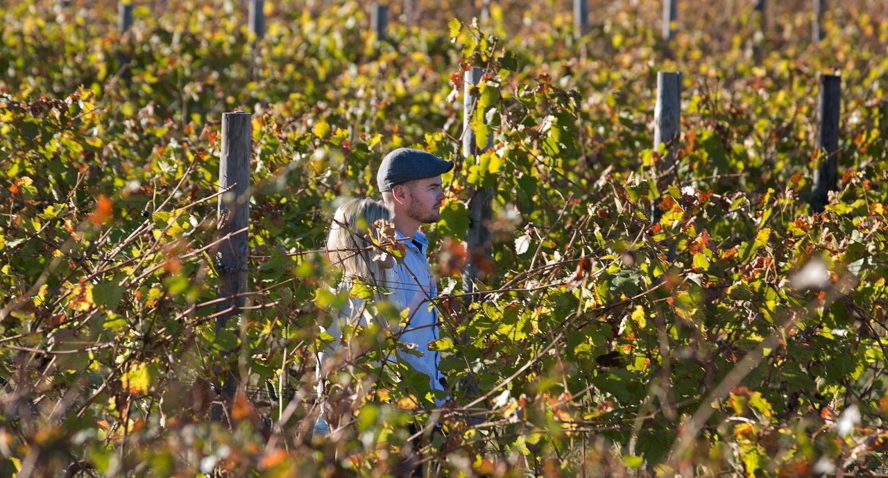 Photo of Others in Franschhoek