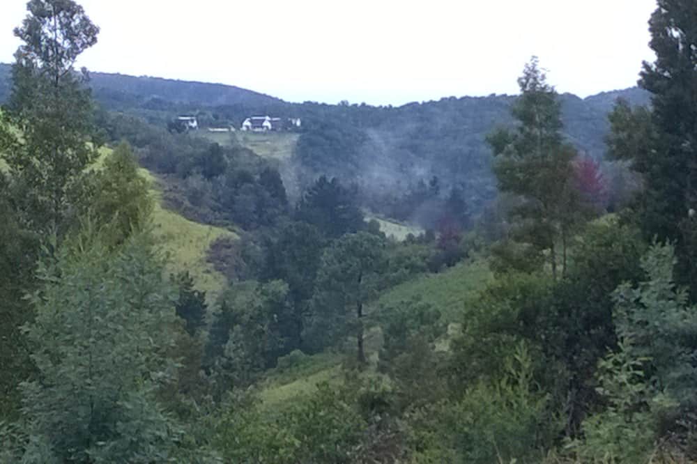 Photo of Others in Bitou