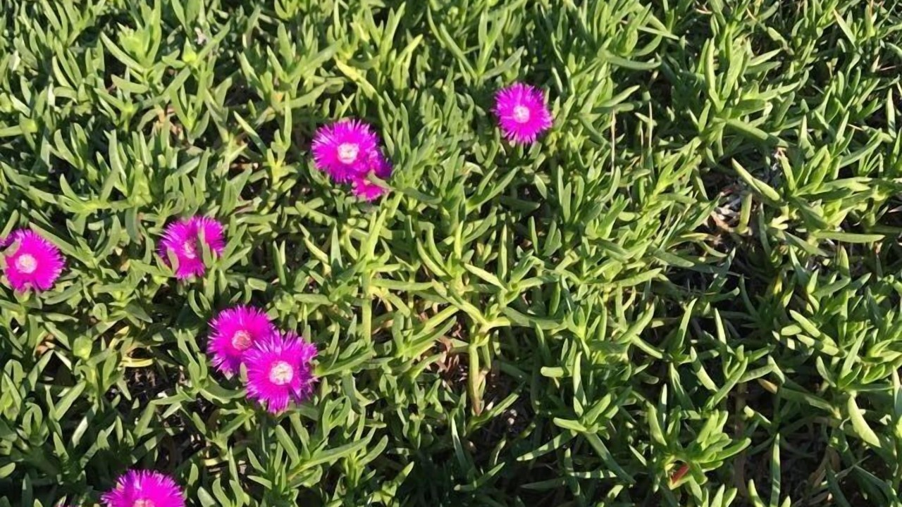 Photo of Outdoor in Oyster Bay