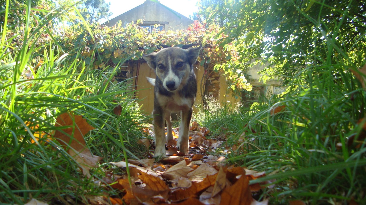 Photo of Outdoor in Joubertina