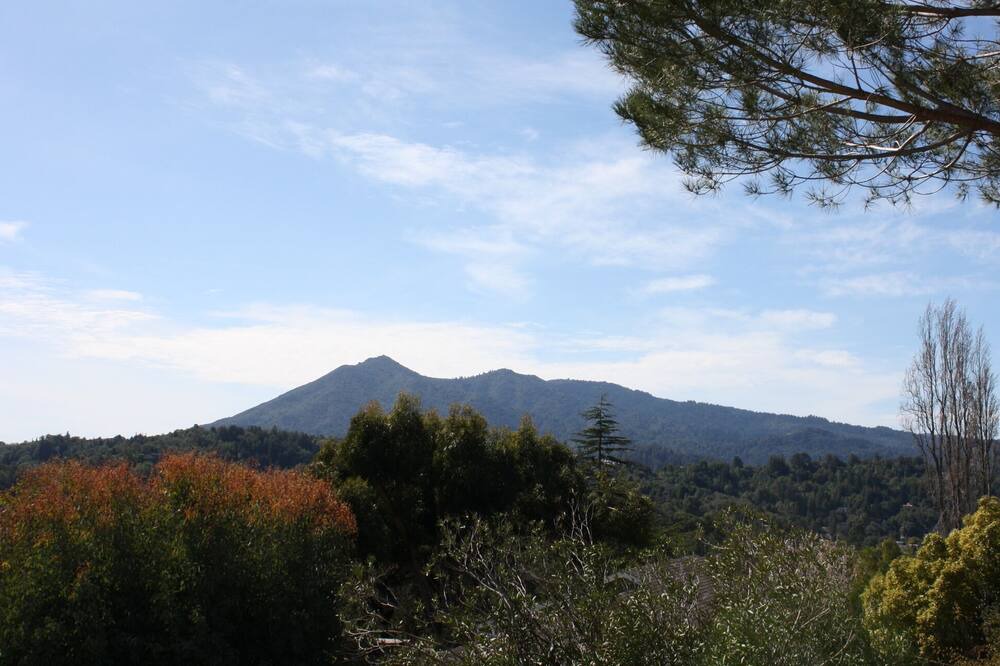 Photo of Others in San Rafael