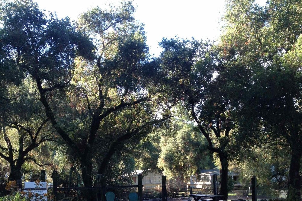 Photo of Others in Carmel Valley