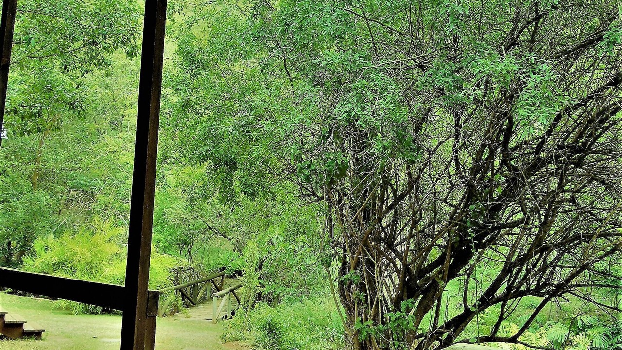 Photo of Outdoor in Umjindi