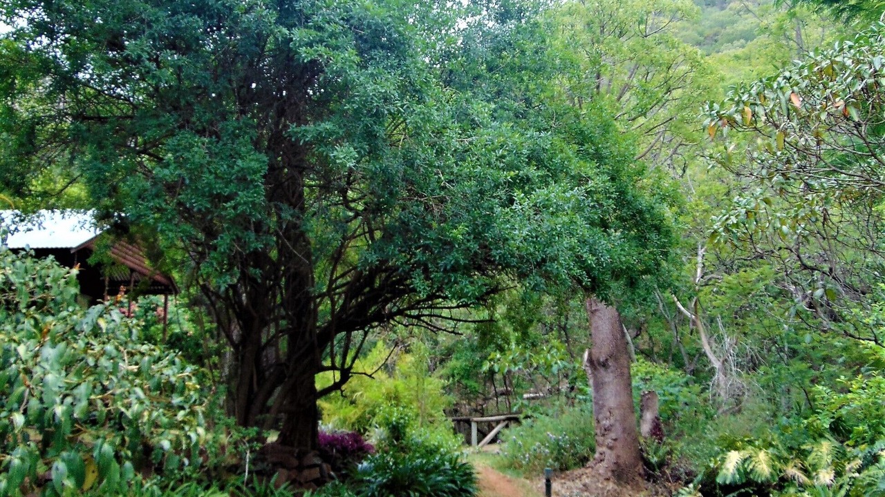Photo of Outdoor in Umjindi