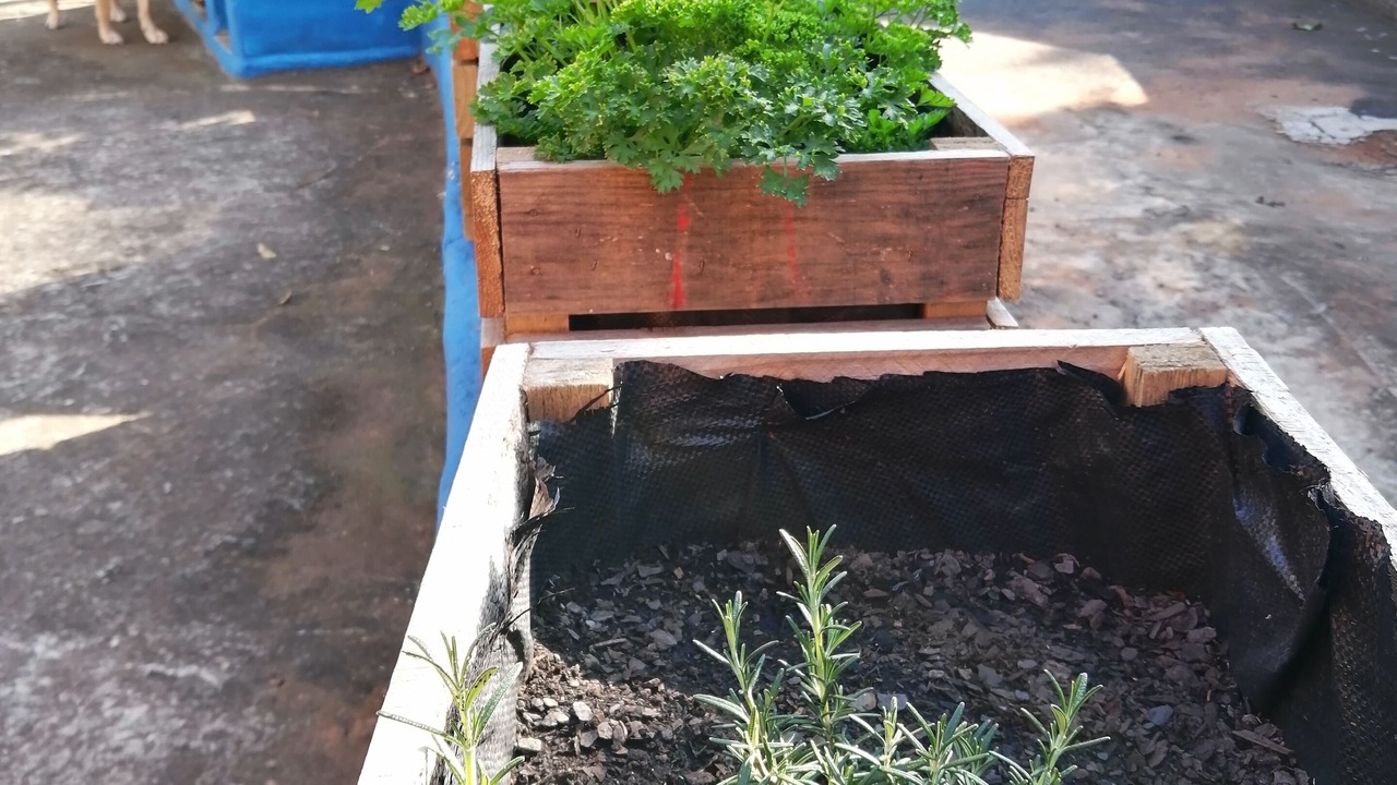 Photo of Outdoor in Durban North