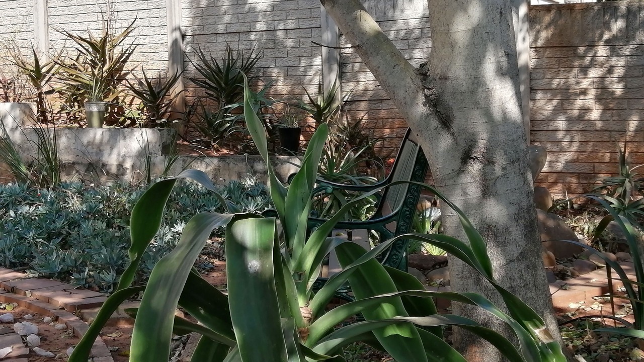 Photo of Outdoor in Durban North