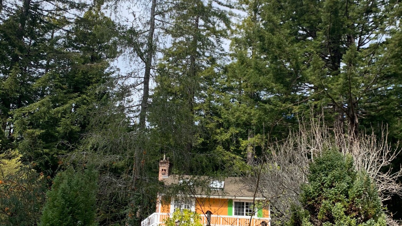 Photo of Outdoor in Mendocino