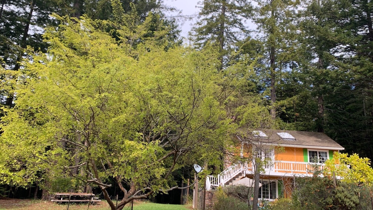 Photo of Outdoor in Mendocino