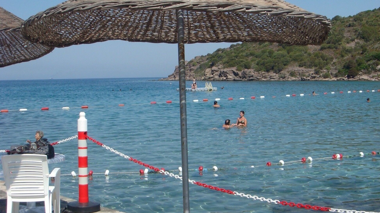 Photo of Others in Milas