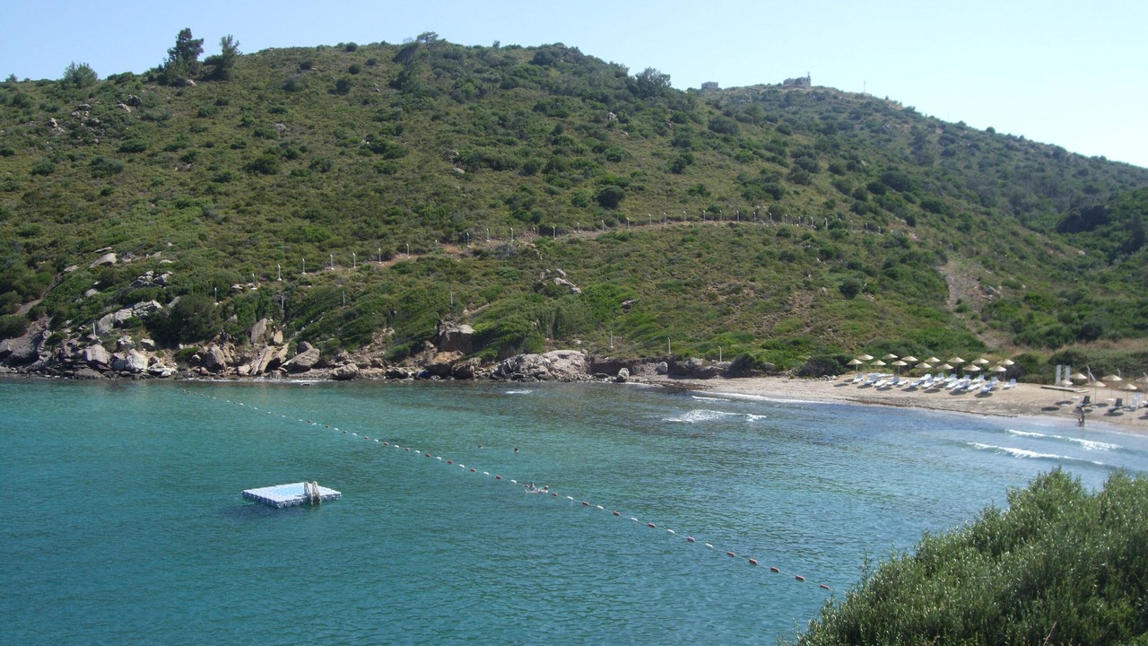 Photo of Others in Milas