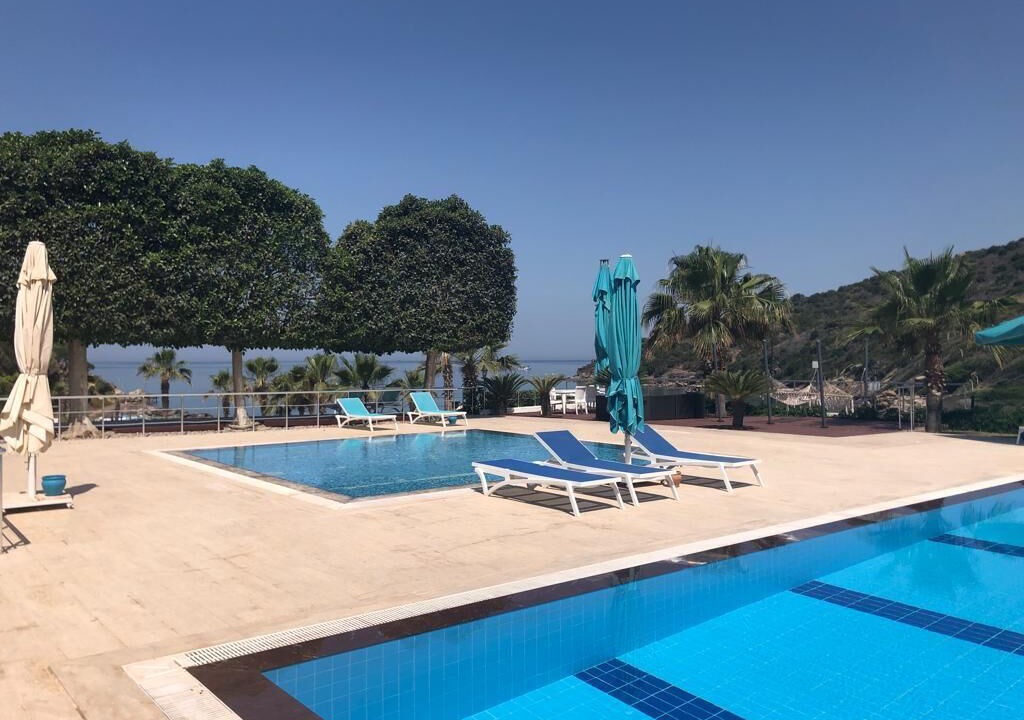 Photo of Outdoor in Milas