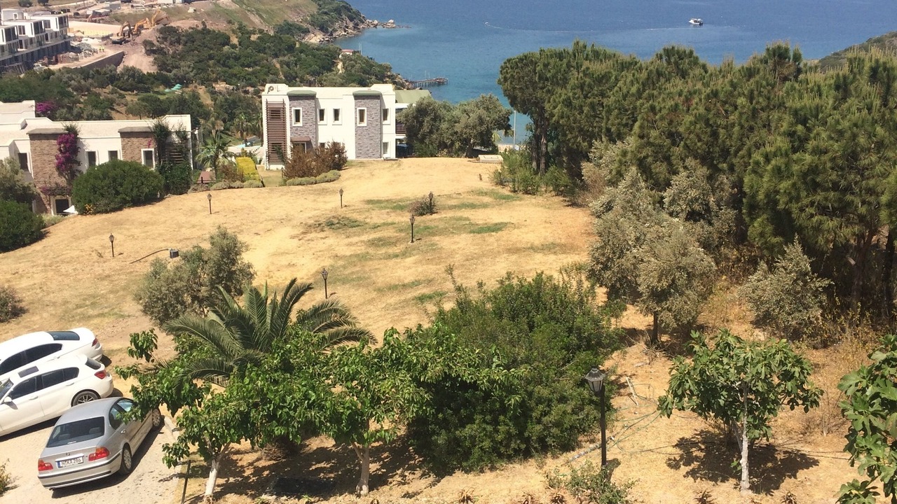 Photo of Outdoor in Milas