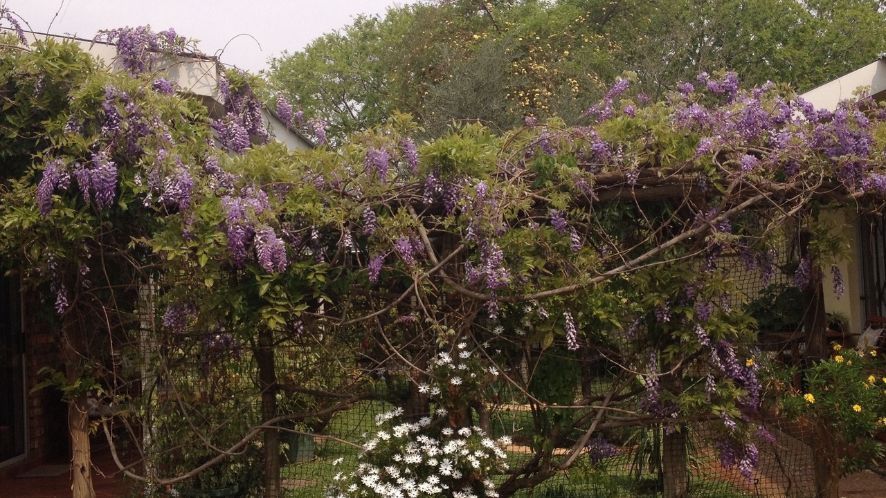 Photo of Outdoor in Kimberley