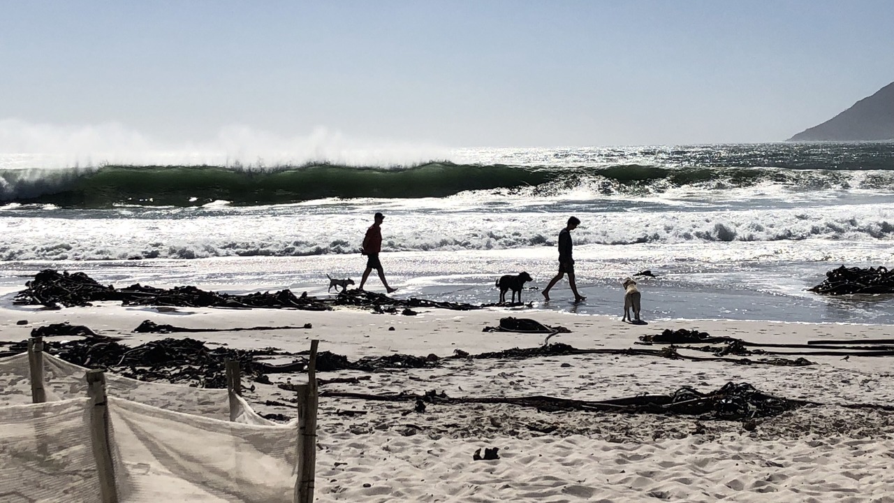 Photo of Others in Kommetjie