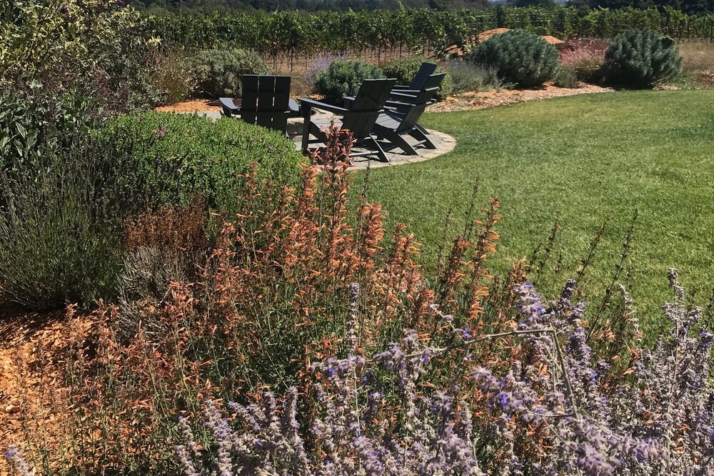 Photo of Outdoor in Freestone