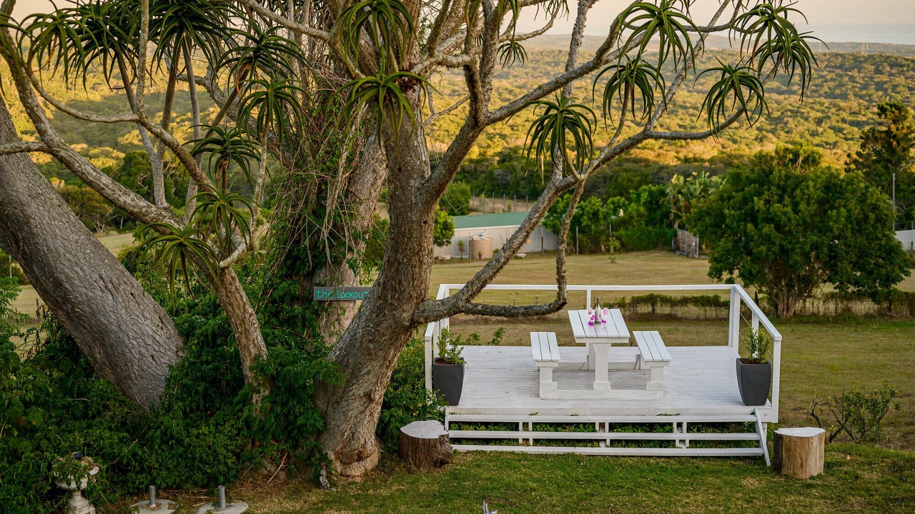 Photo of Outdoor in Port Elizabeth