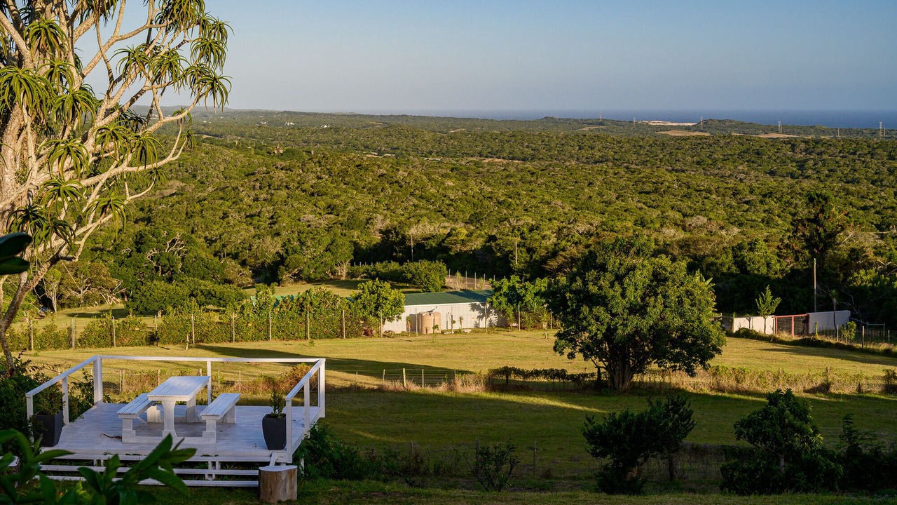Photo of Outdoor in Port Elizabeth