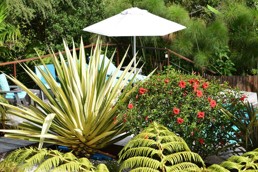 Photo of Outdoor in Hunter's Home