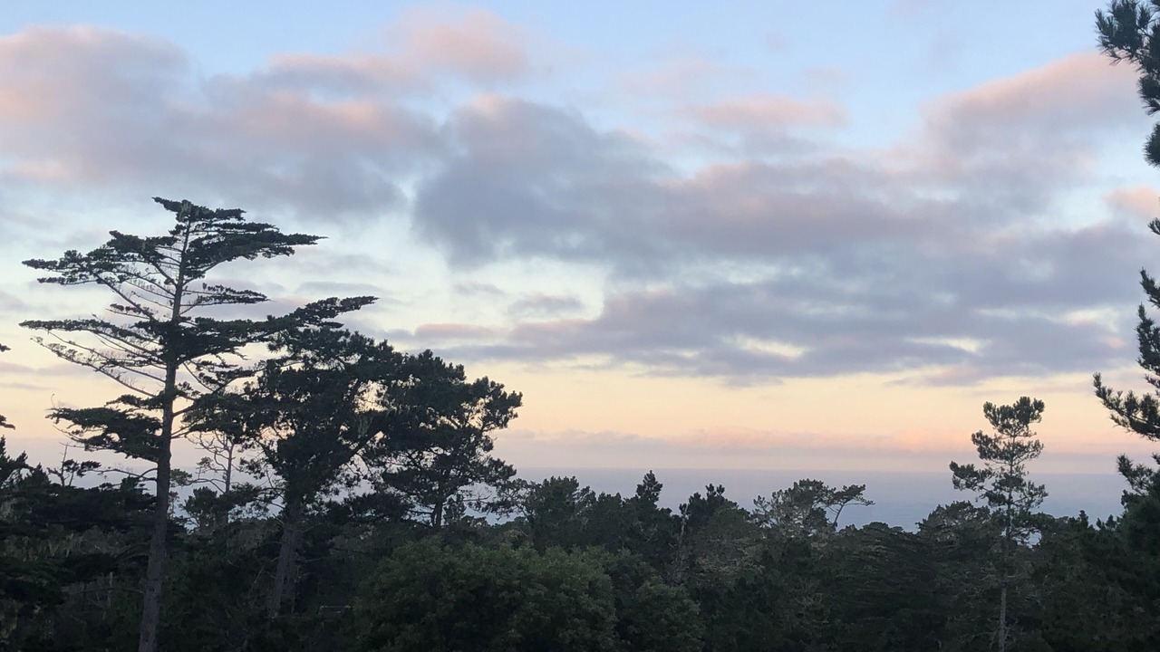 Photo of Outdoor in Del Monte Forest