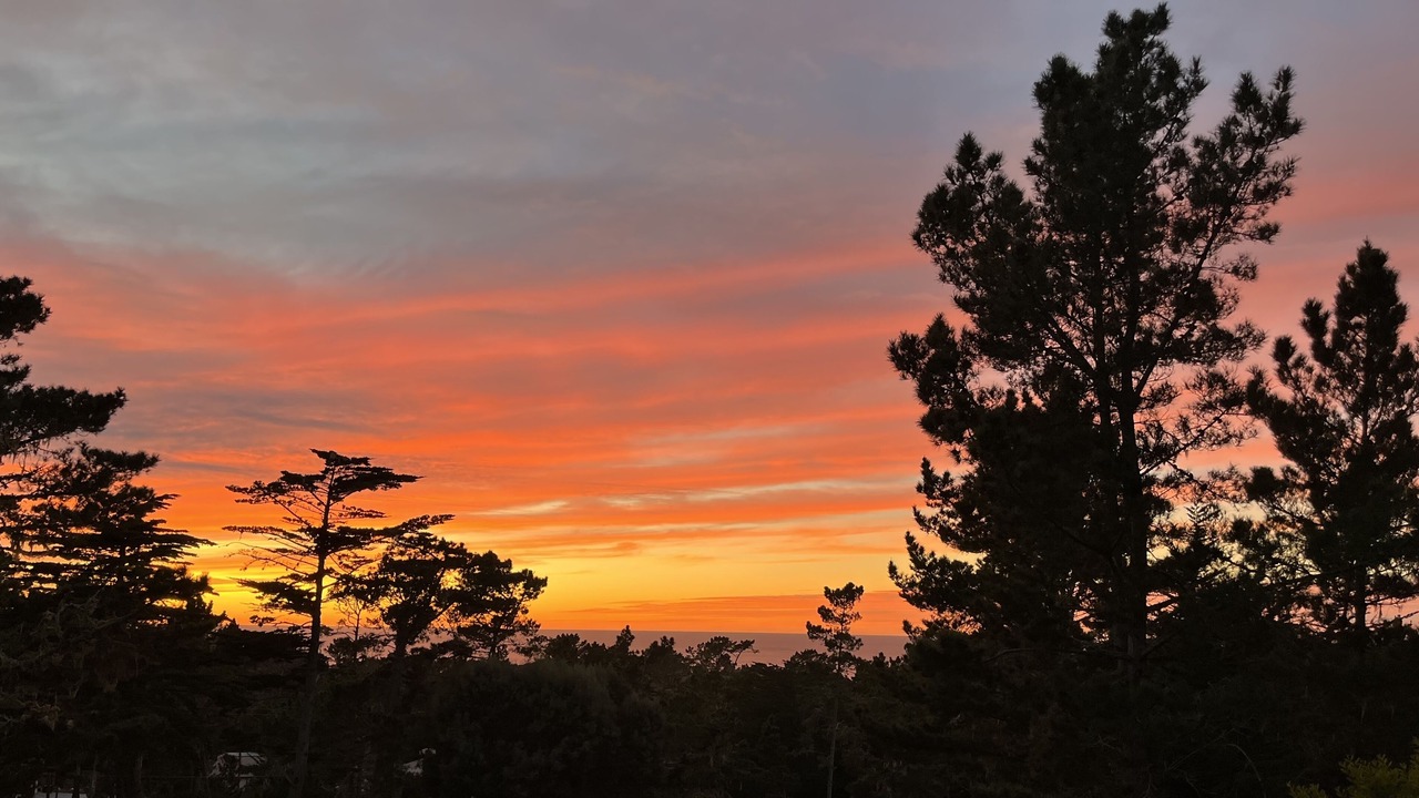 Photo of Outdoor in Del Monte Forest