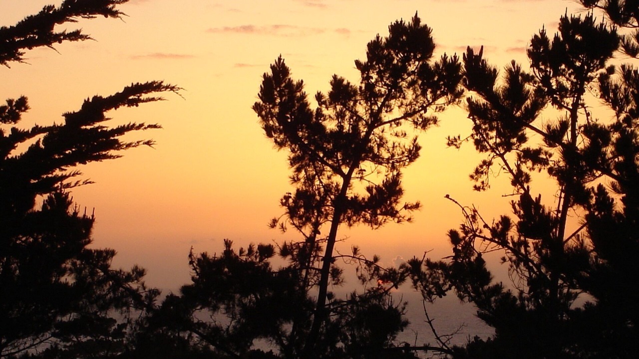 Photo of Others in Del Monte Forest