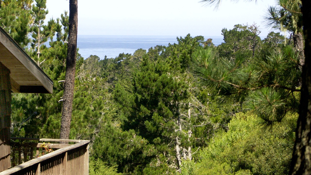 Photo of Outdoor in Del Monte Forest