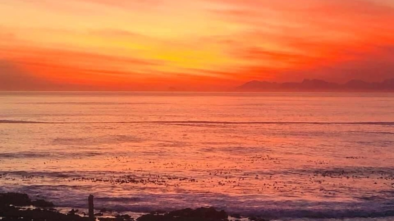 Photo of Others in Gansbaai