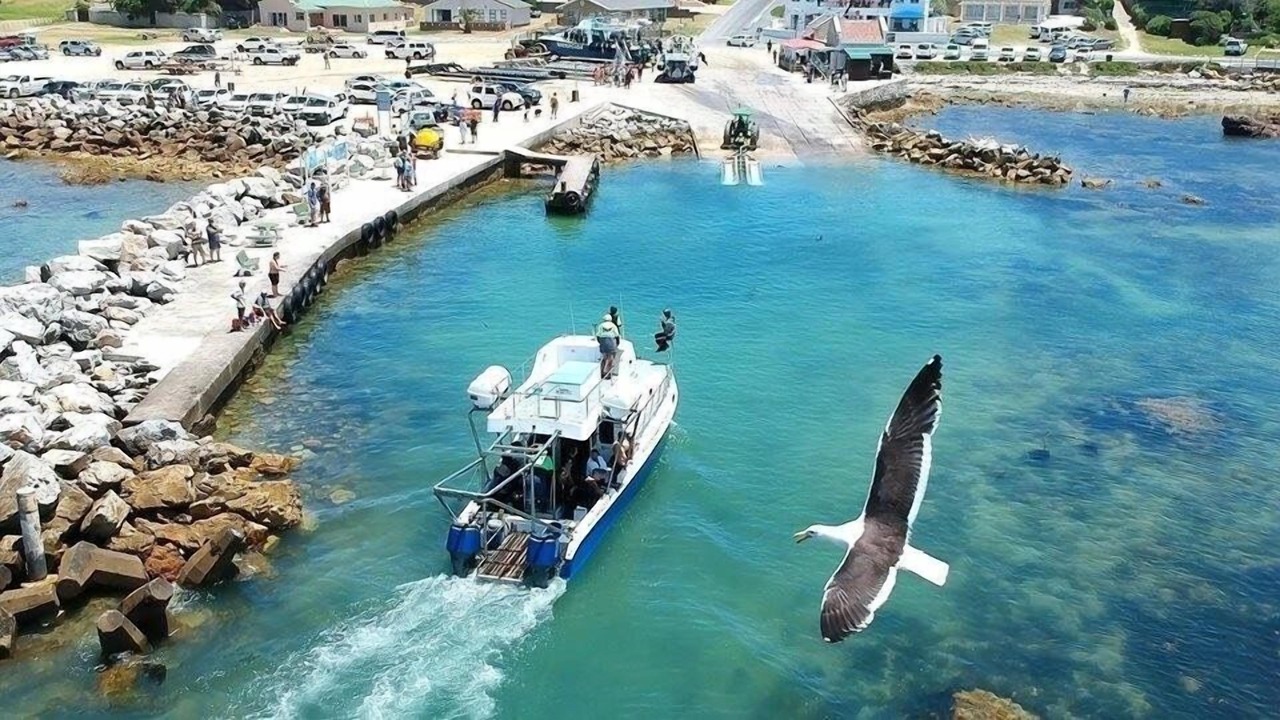 Photo of Others in Gansbaai