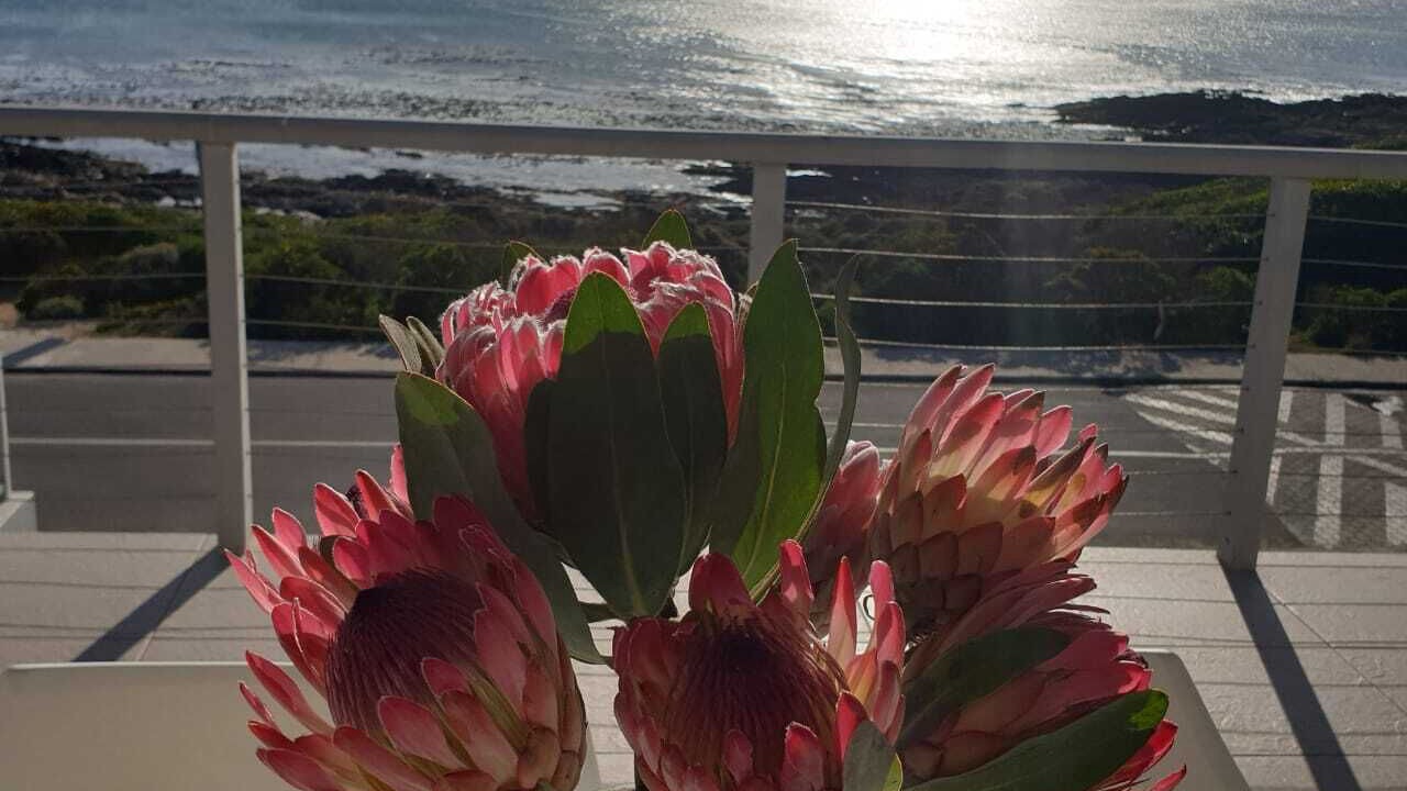 Photo of Others in Gansbaai