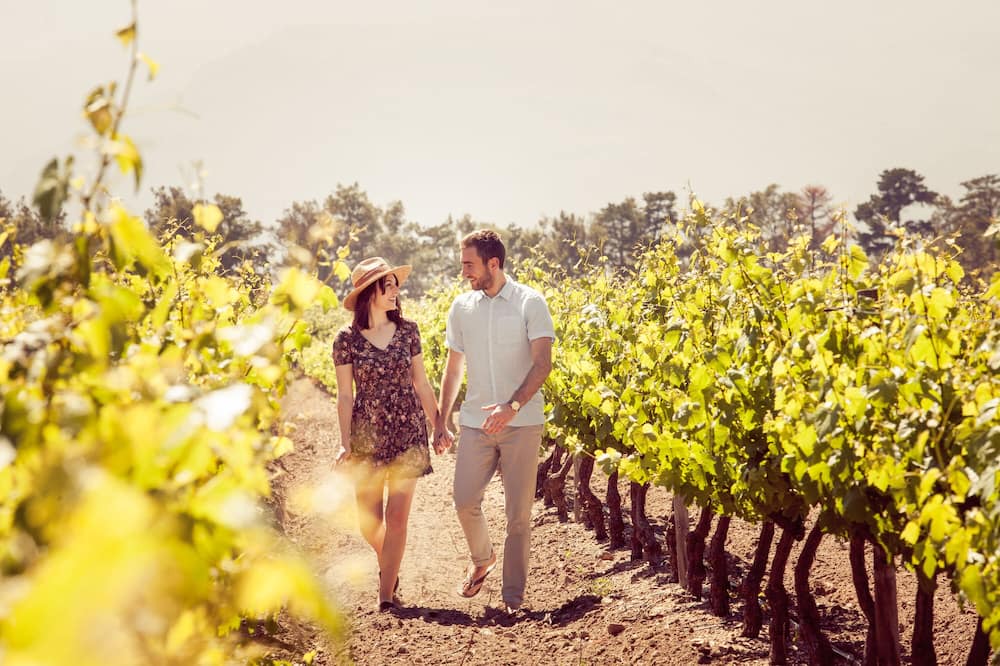 Photo of Outdoor in Cape Winelands