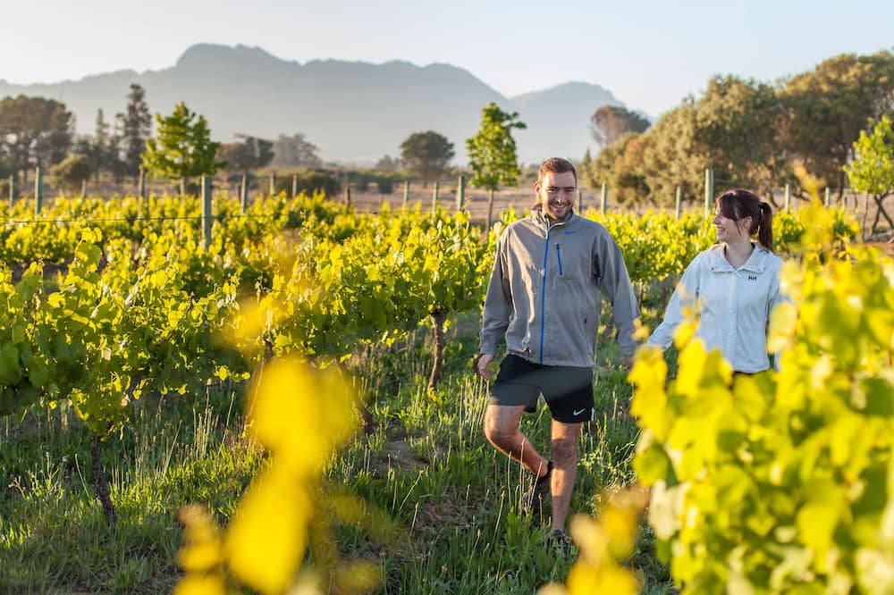 Photo of Outdoor in Paarl