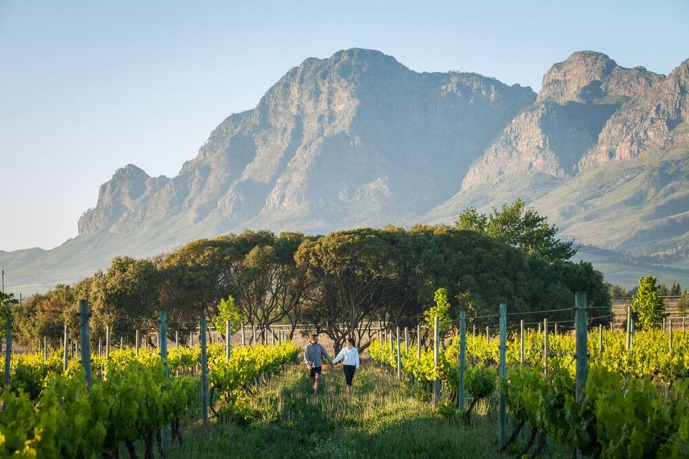 Photo of Outdoor in Cape Winelands