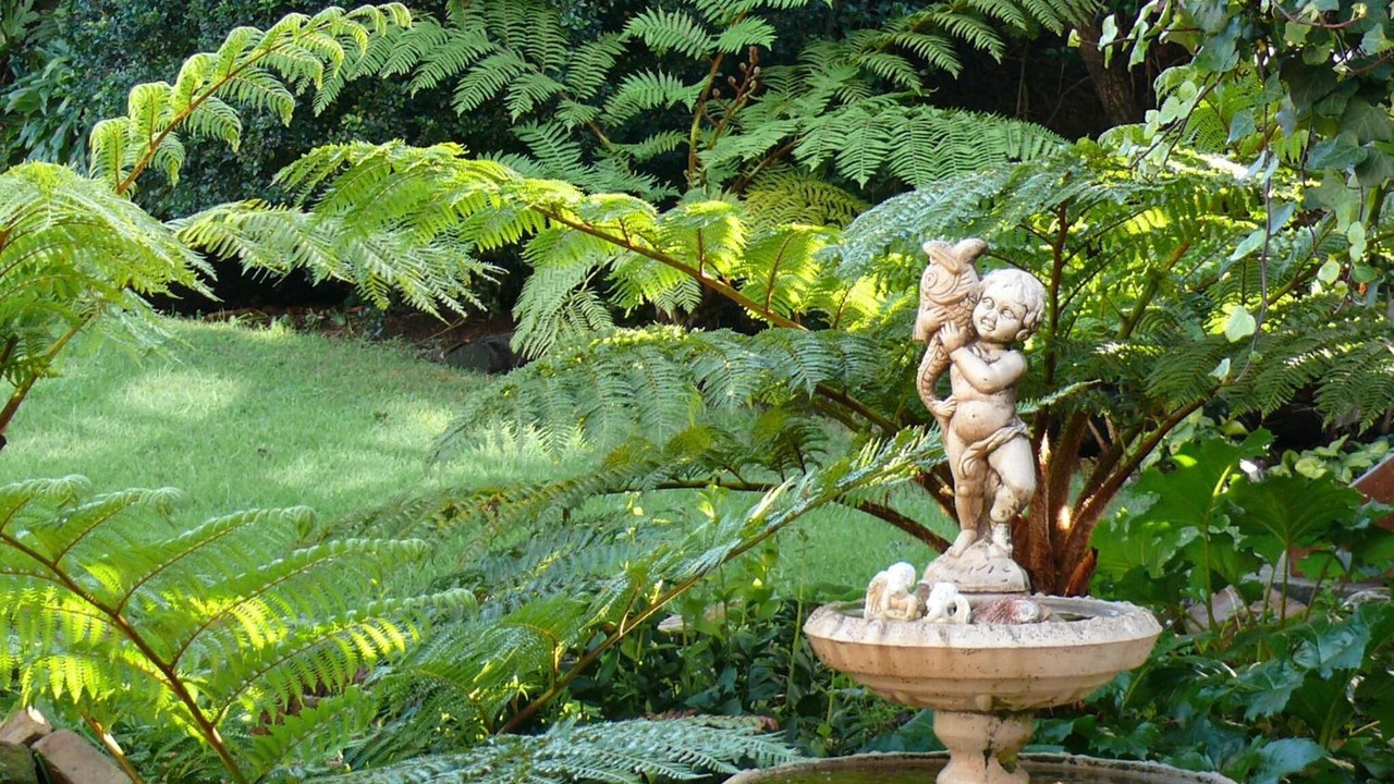 Photo of Outdoor in Humewood