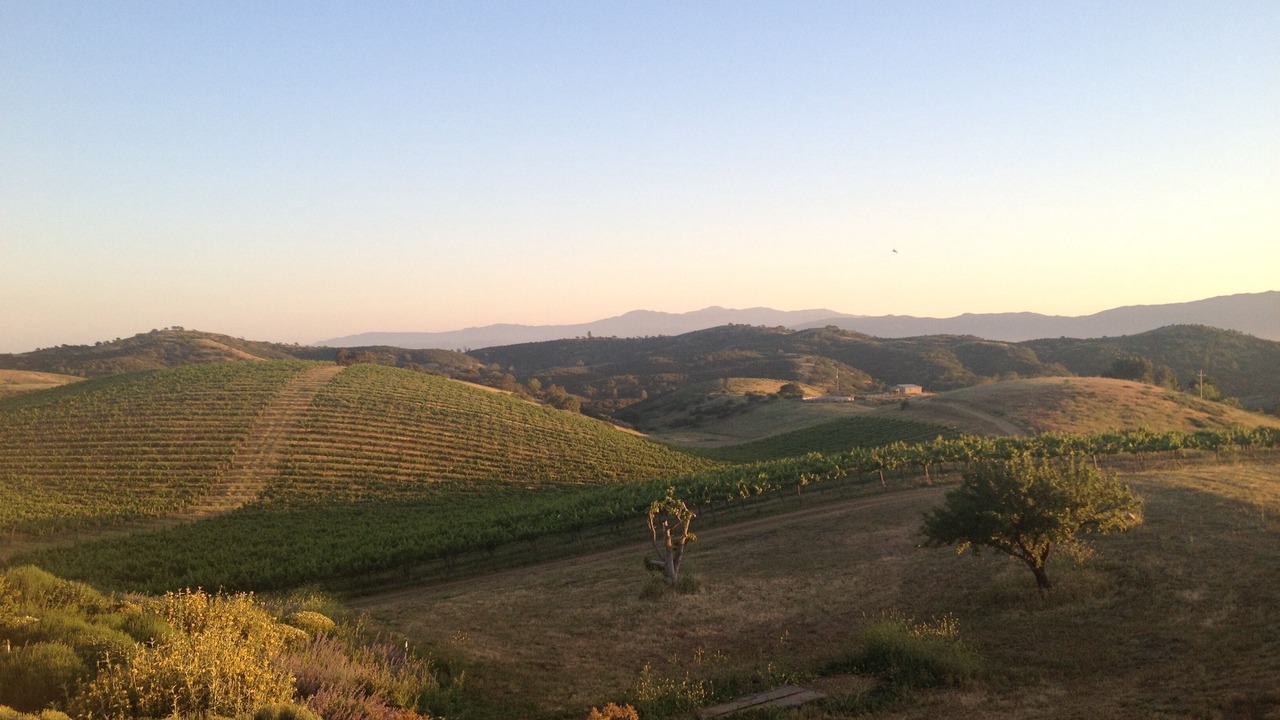 Photo of Outdoor in Soledad