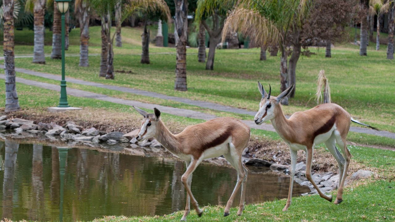 Photo of Outdoor in Keimoes