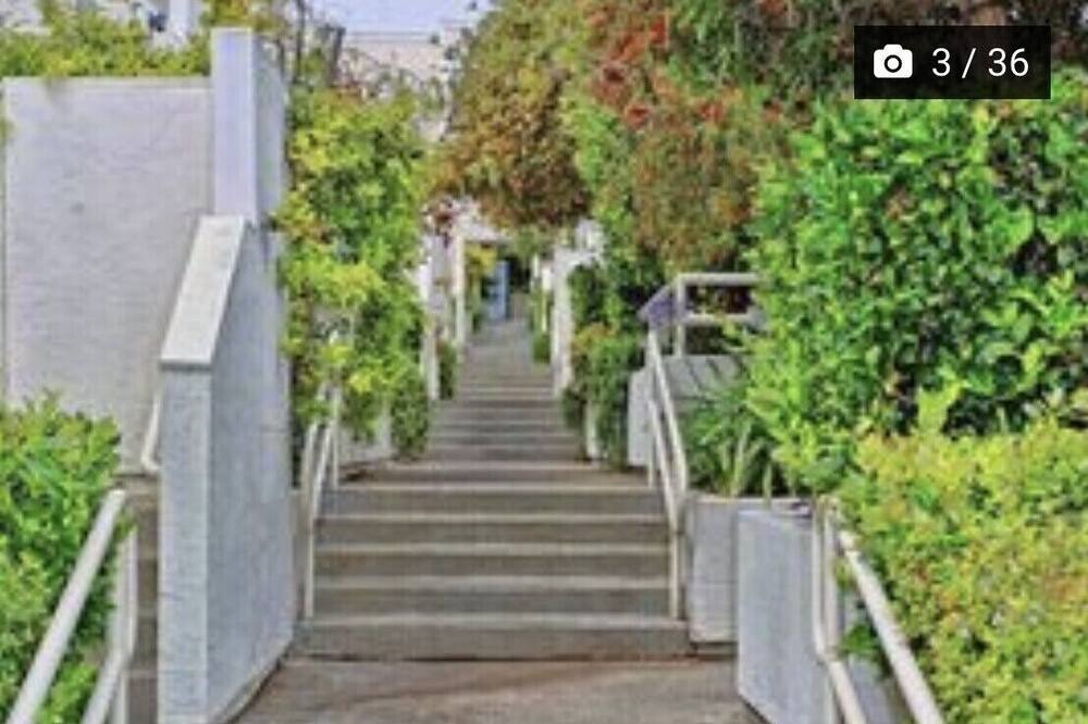 Photo of Outdoor in Lower Pacific Heights