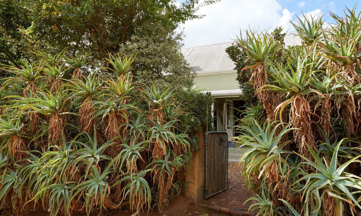 Photo of Outdoor in Franschhoek