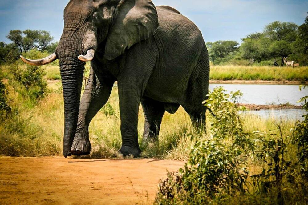Photo of Others in Hoedspruit