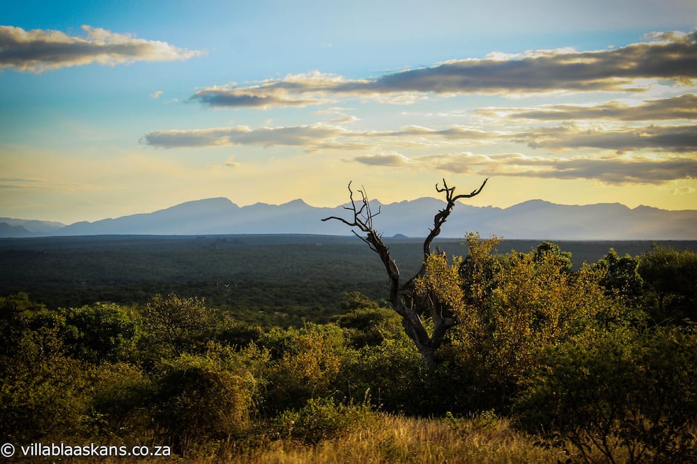 Photo of Others in Hoedspruit