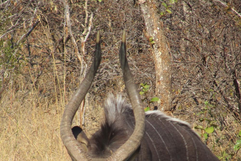 Photo of Outdoor in Hoedspruit