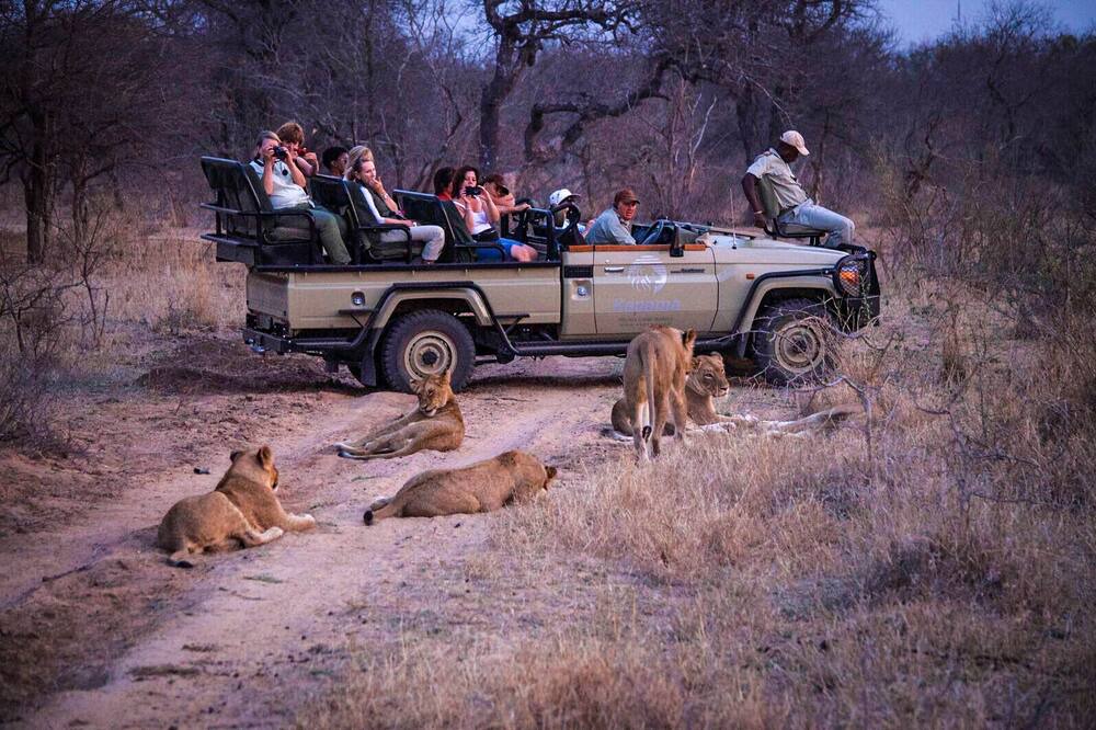 Photo of Others in Hoedspruit