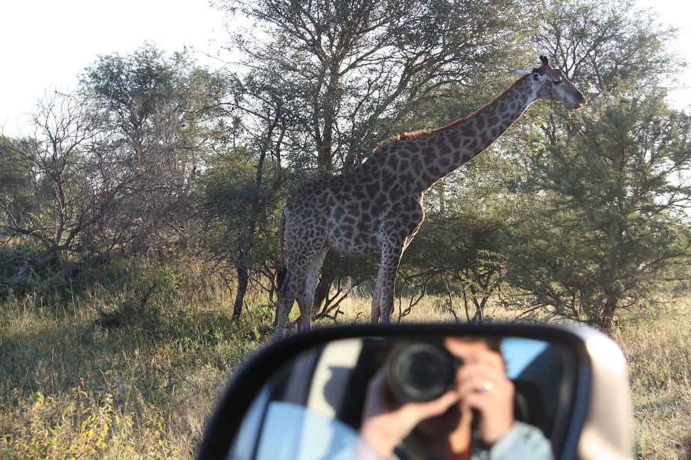 Photo of Others in Hoedspruit