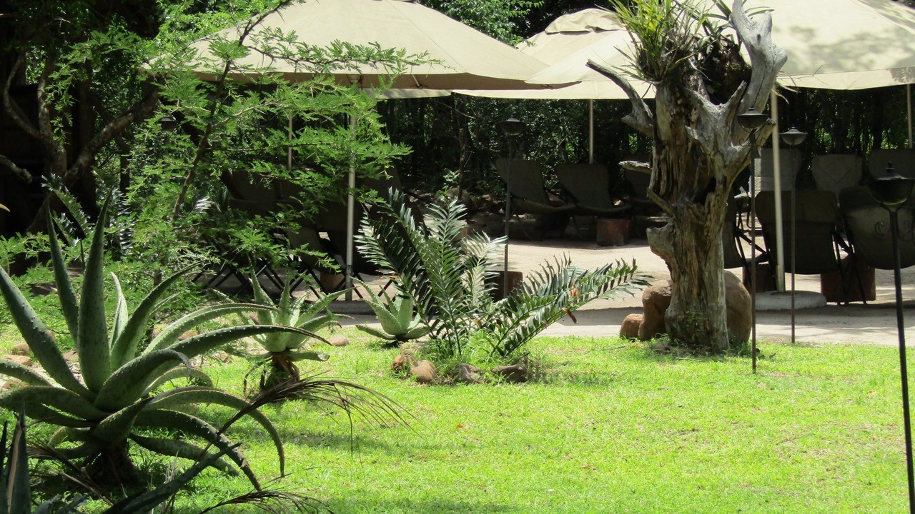 Photo of Outdoor in Kosi Bay