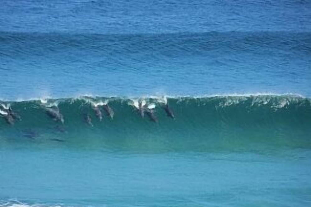 Photo of Others in Seaview