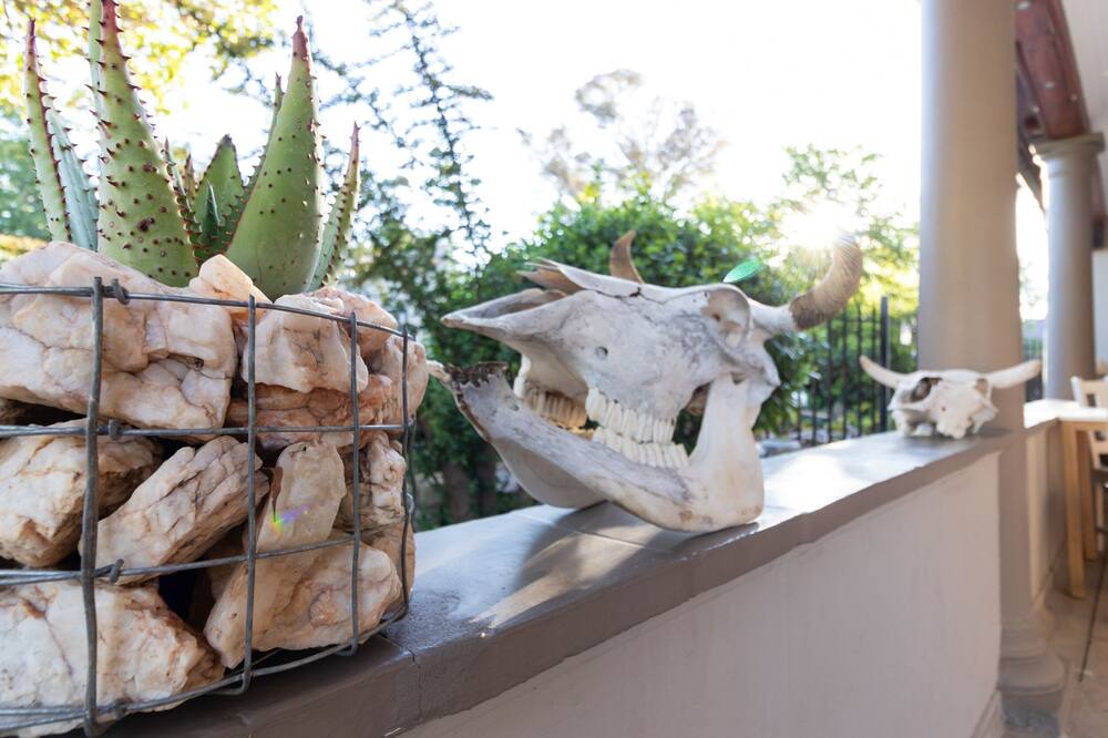 Photo of Outdoor in Oudtshoorn