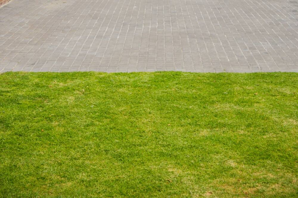 Photo of Outdoor in Colchester
