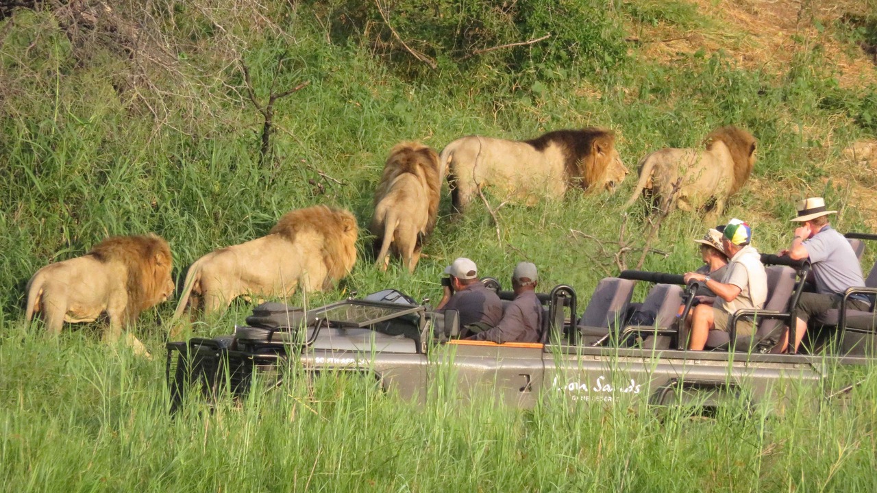 Photo of Others in Kruger National Park